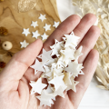 Mother of pearl star - Set of 10