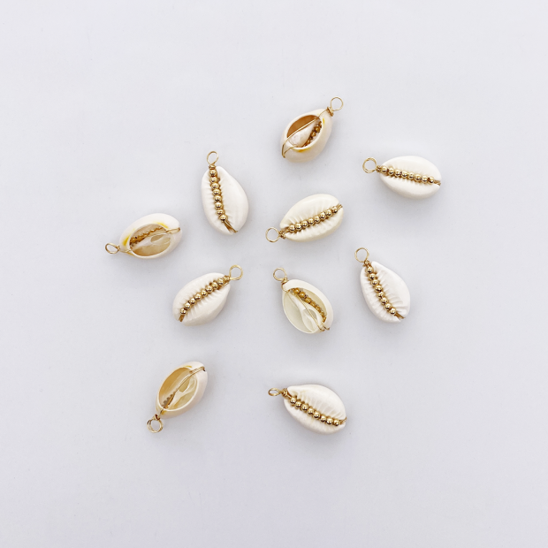 Cowrie shell