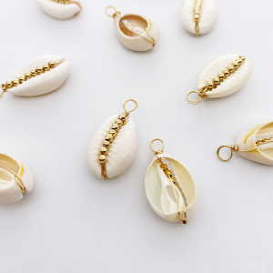 Cowrie shell