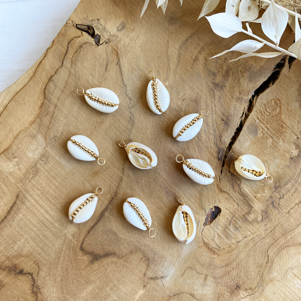 Cowrie shell