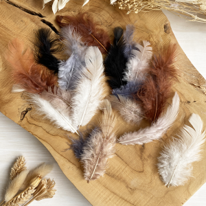 Plumas decorativas